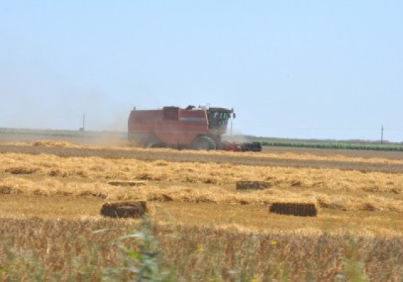 Seceta i-a împins pe agricultori să bage combinele în câmp cu o lună mai devreme